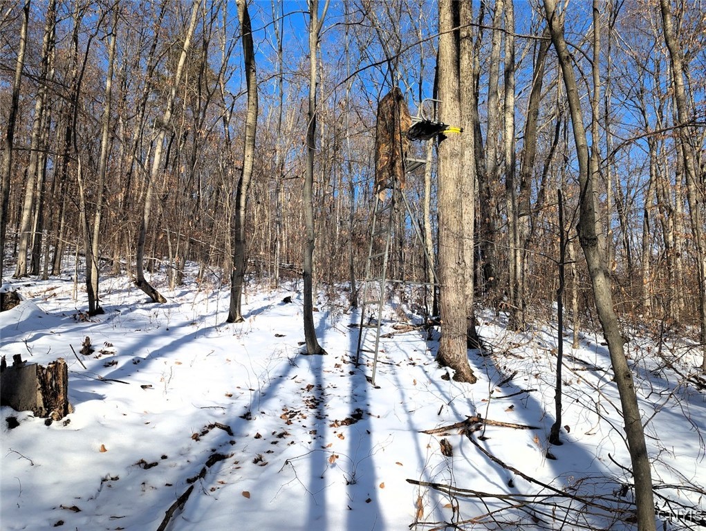 0 Beeman Hollow Road Addison, NY 14801 - Photo 21 of 45