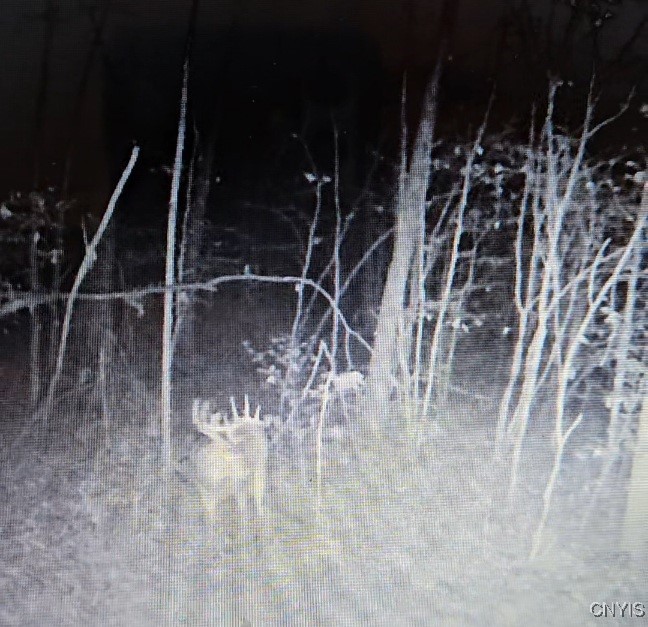 0 Beeman Hollow Road Addison, NY 14801 - Photo 23 of 45