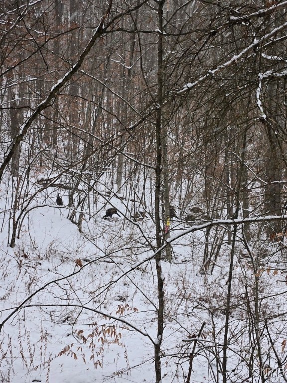 0 Beeman Hollow Road Addison, NY 14801 - Photo 24 of 45