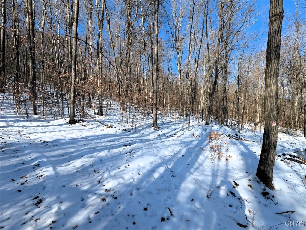 0 Beeman Hollow Road Addison, NY 14801 - Photo 28 of 45