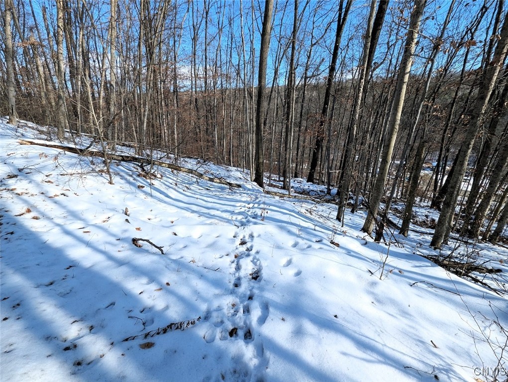 0 Beeman Hollow Road Addison, NY 14801 - Photo 38 of 45