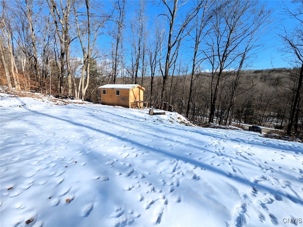 0 Beeman Hollow Road Addison, NY 14801 - Photo 4 of 45