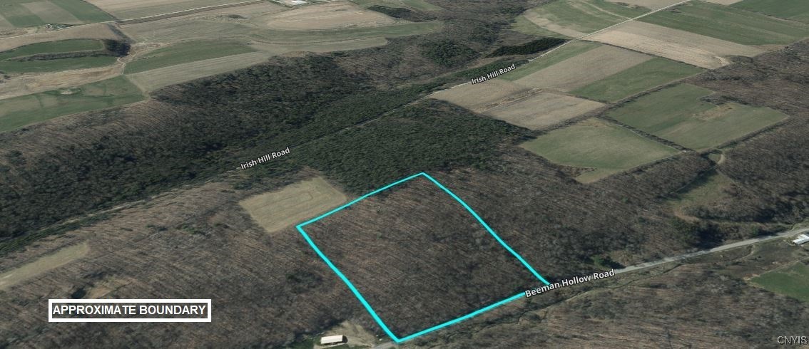 0 Beeman Hollow Road Addison, NY 14801 - Photo 43 of 45