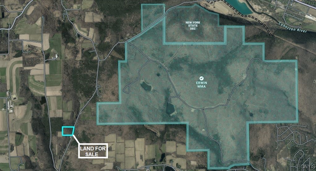 0 Beeman Hollow Road Addison, NY 14801 - Photo 44 of 45