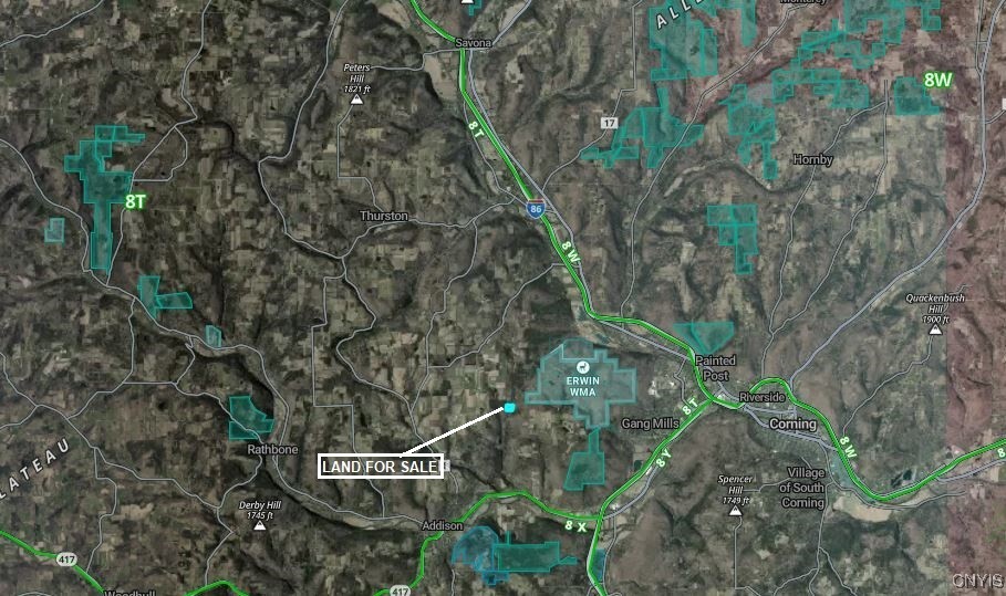 0 Beeman Hollow Road Addison, NY 14801 - Photo 45 of 45