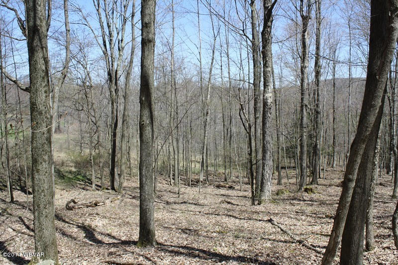 480 Trowbridge Station Road Millerton, PA 16936 - Photo 55 of 77 126390-55