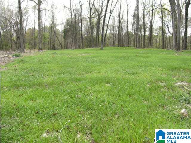 0 Spring Creek Road, Unit 30 AC Calera, AL 35040 - Photo 16 of 20