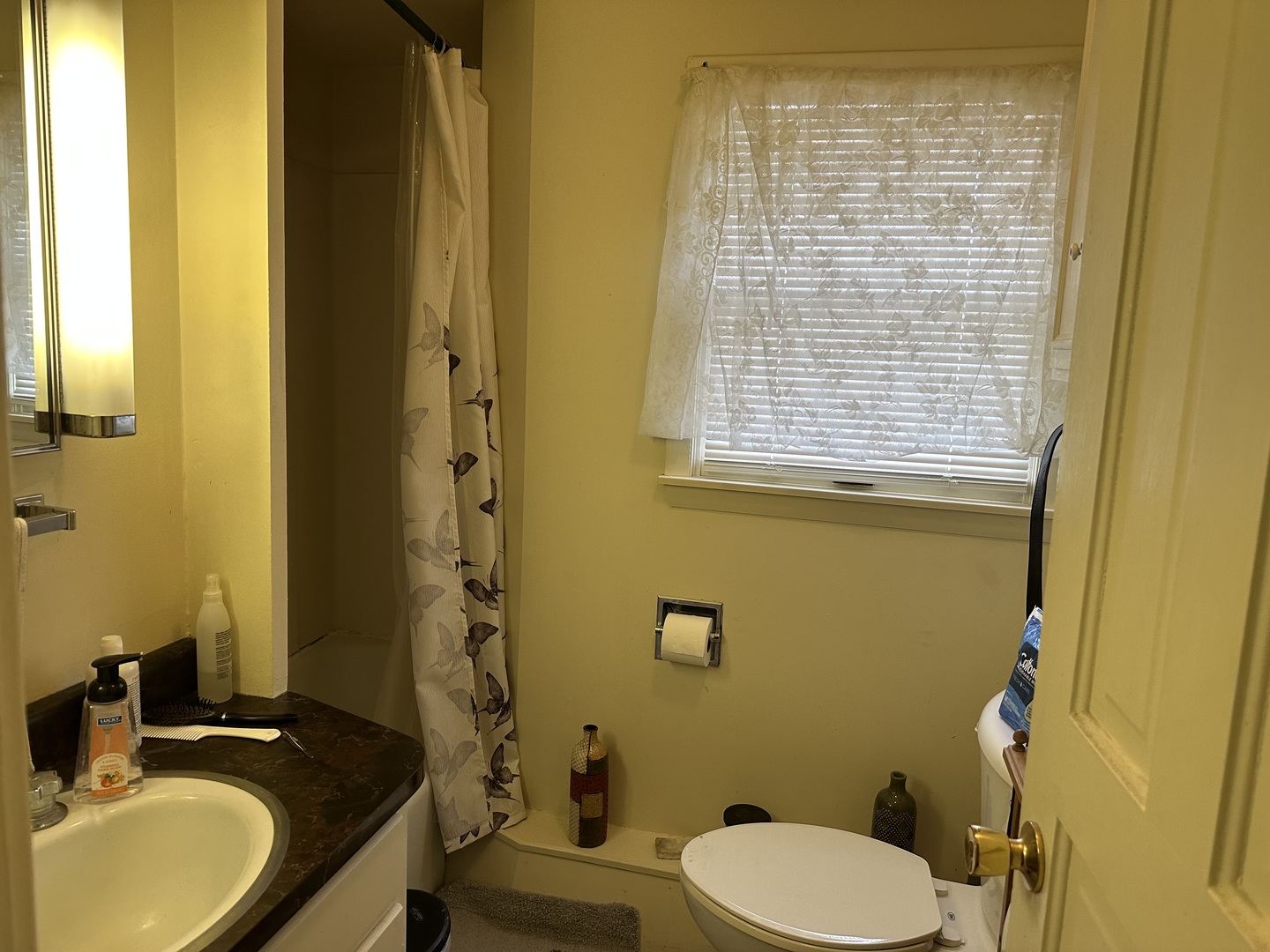 109 East Morris Street Morrison, IL 61270 - Photo 13 of 14 a bathroom with a granite countertop toilet sink and mirror