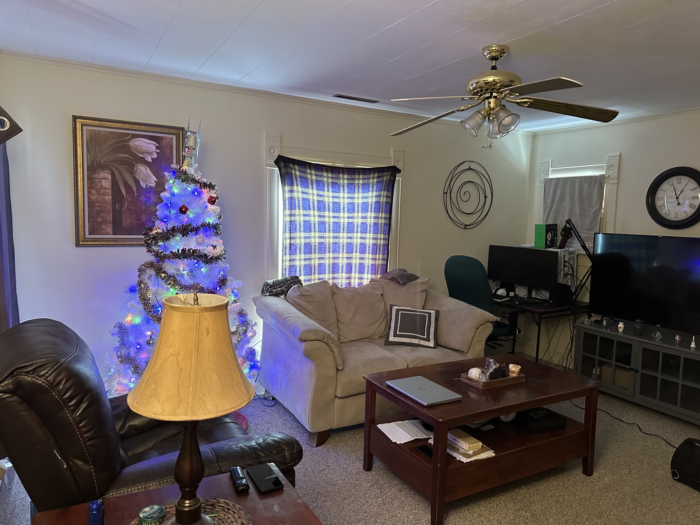109 East Morris Street Morrison, IL 61270 - Photo 10 of 14 a living room with furniture and a wooden floor