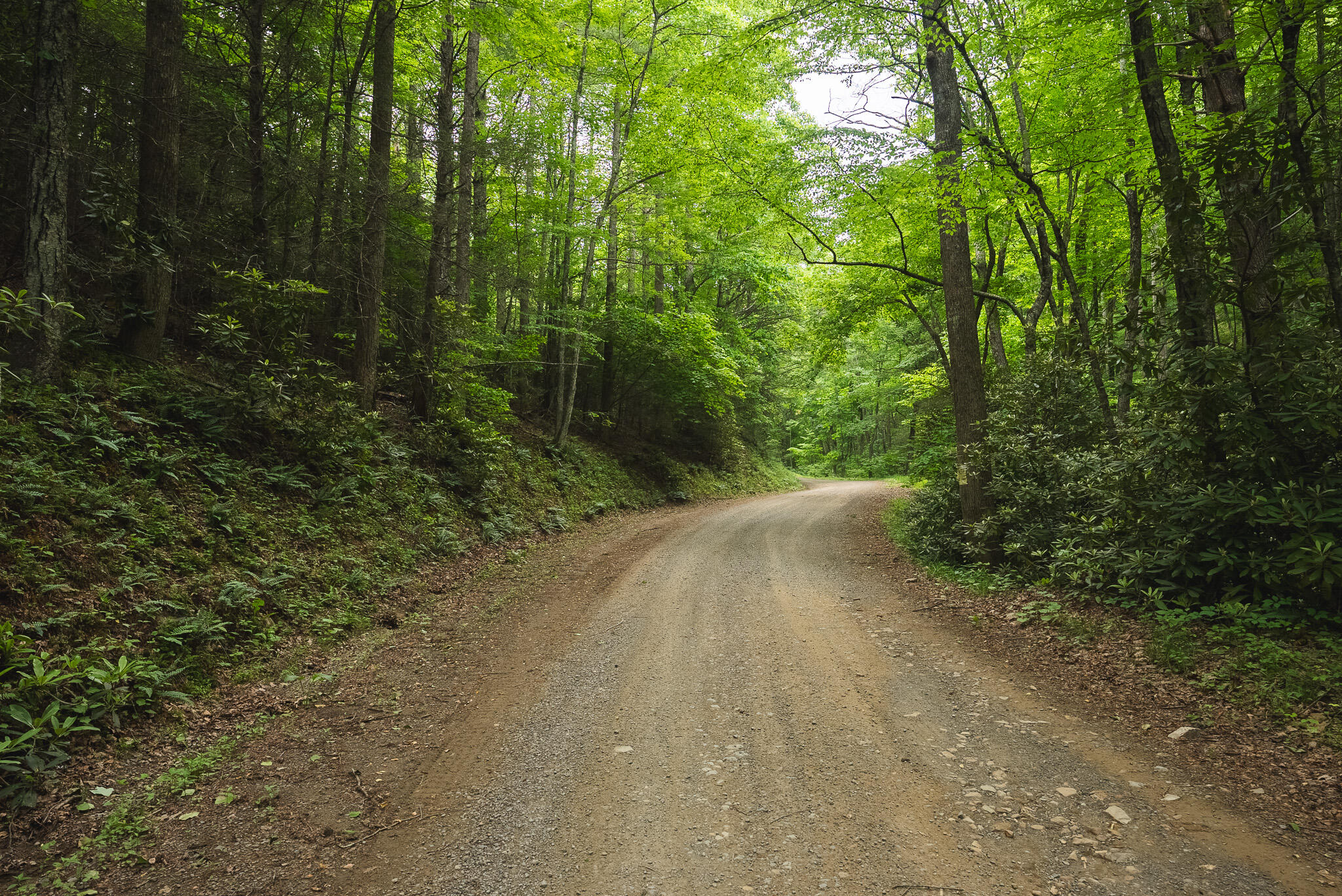Tbd Macks Mountain Road Northwest Indian Valley, VA 24105 - Photo 6 of 45 DSC01587