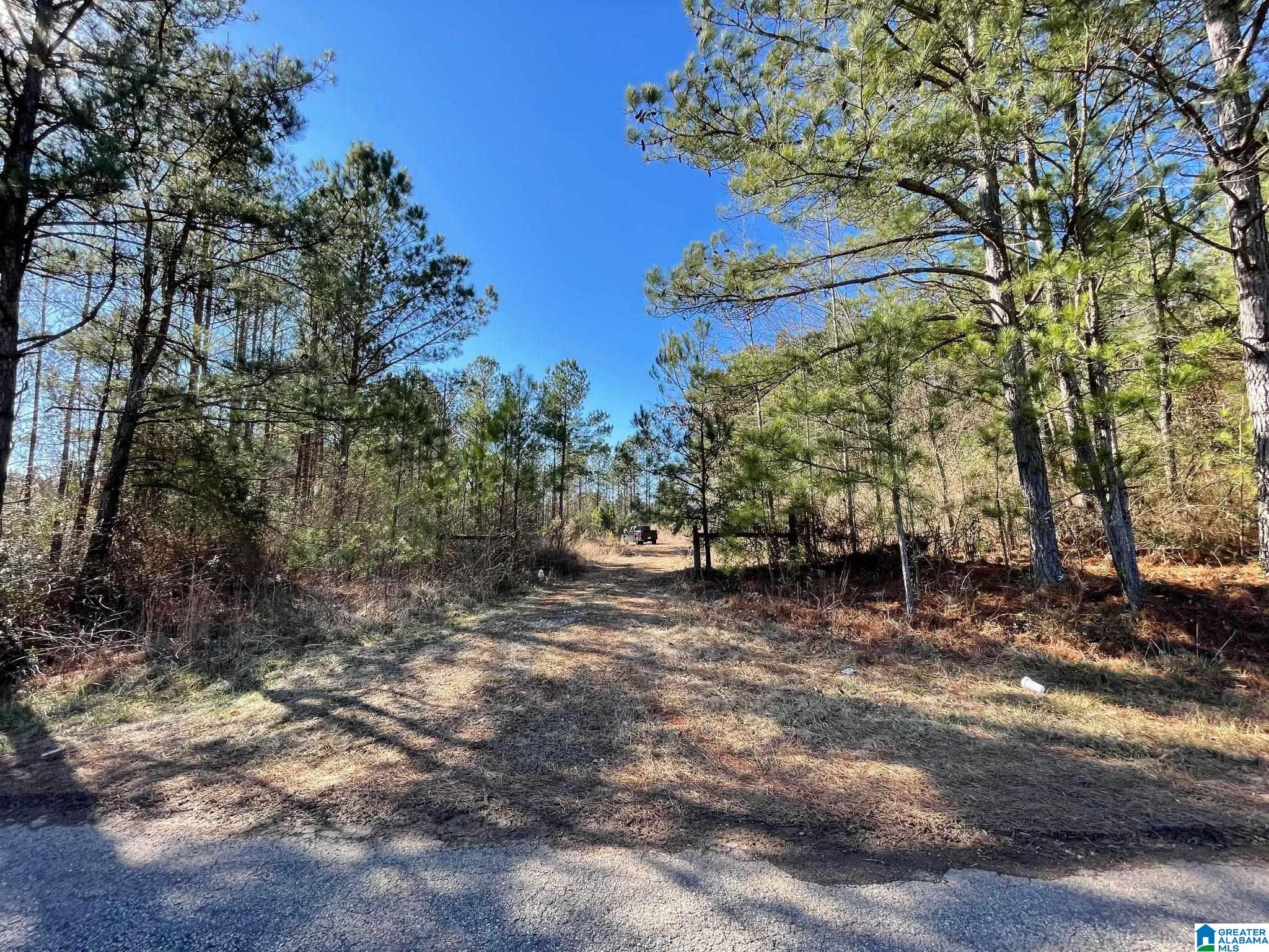 0 County Road 18, Unit 1 Roanoke, AL 36274 - Photo 4 of 6