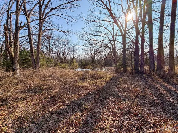 $600,000 | 353 County Road 2400, Salem, MO 65560