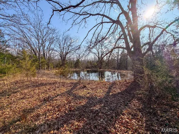 $600,000 | 353 County Road 2400, Salem, MO 65560
