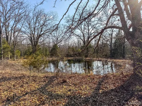 $600,000 | 353 County Road 2400, Salem, MO 65560