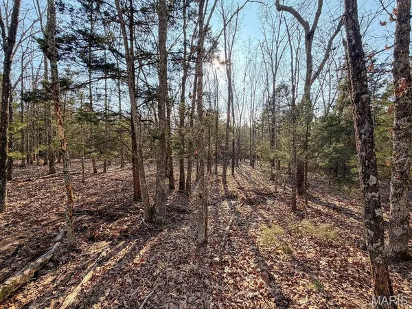 $600,000 | 353 County Road 2400, Salem, MO 65560