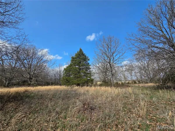 $600,000 | 353 County Road 2400, Salem, MO 65560