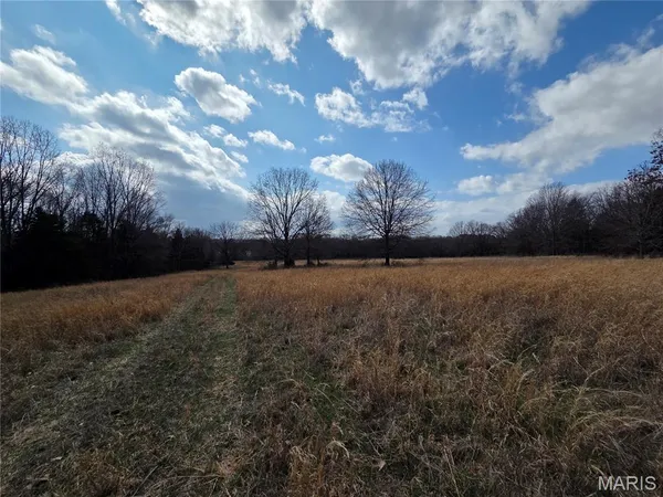 $600,000 | 353 County Road 2400, Salem, MO 65560