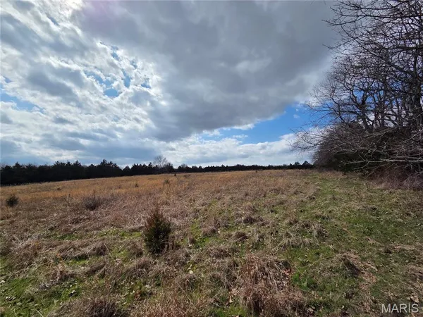 $600,000 | 353 County Road 2400, Salem, MO 65560
