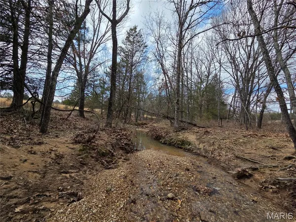 $600,000 | 353 County Road 2400, Salem, MO 65560