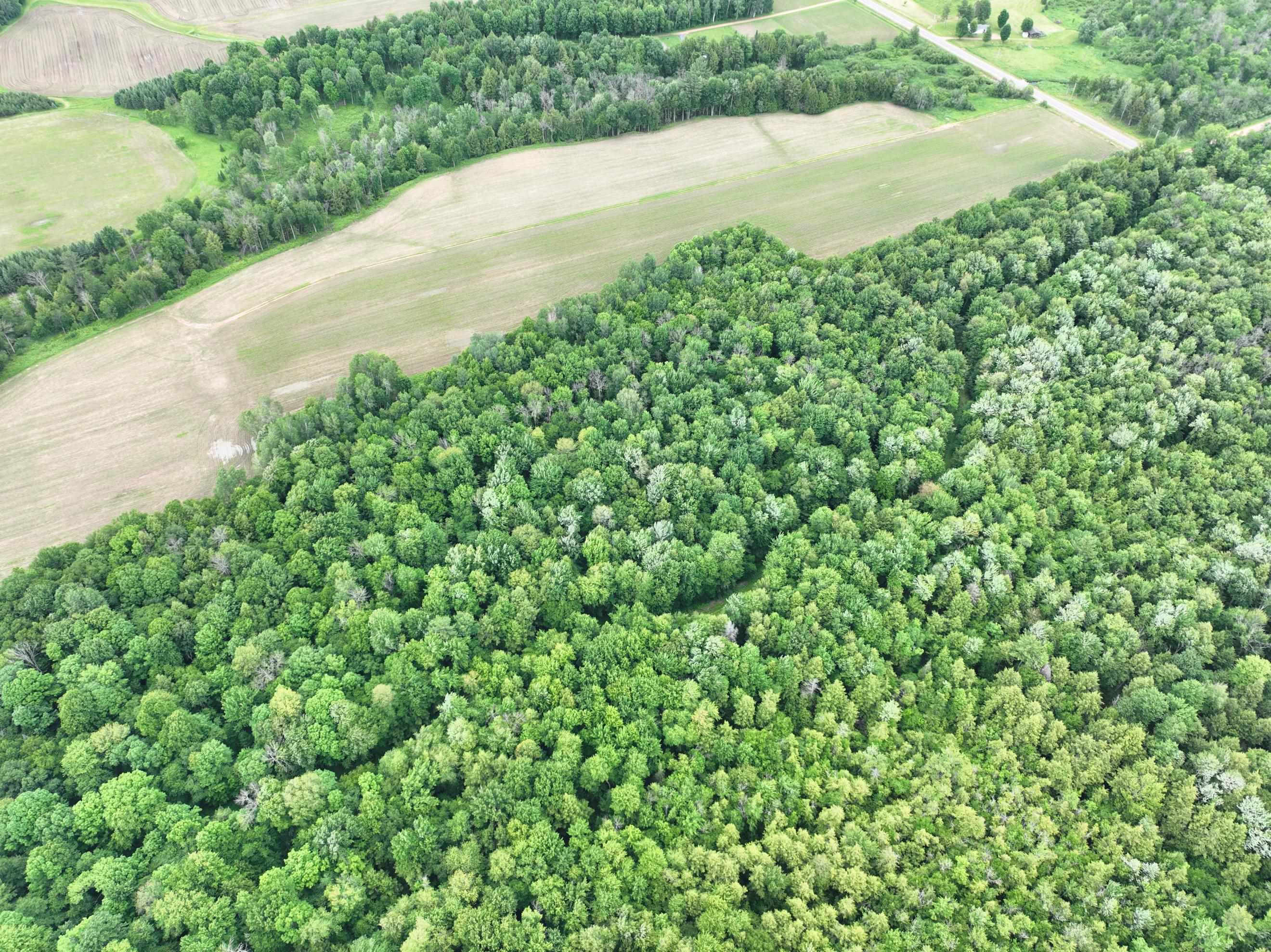 118.88-acres On County Rd O Wausau, WI 54401 - Photo 14 of 15
