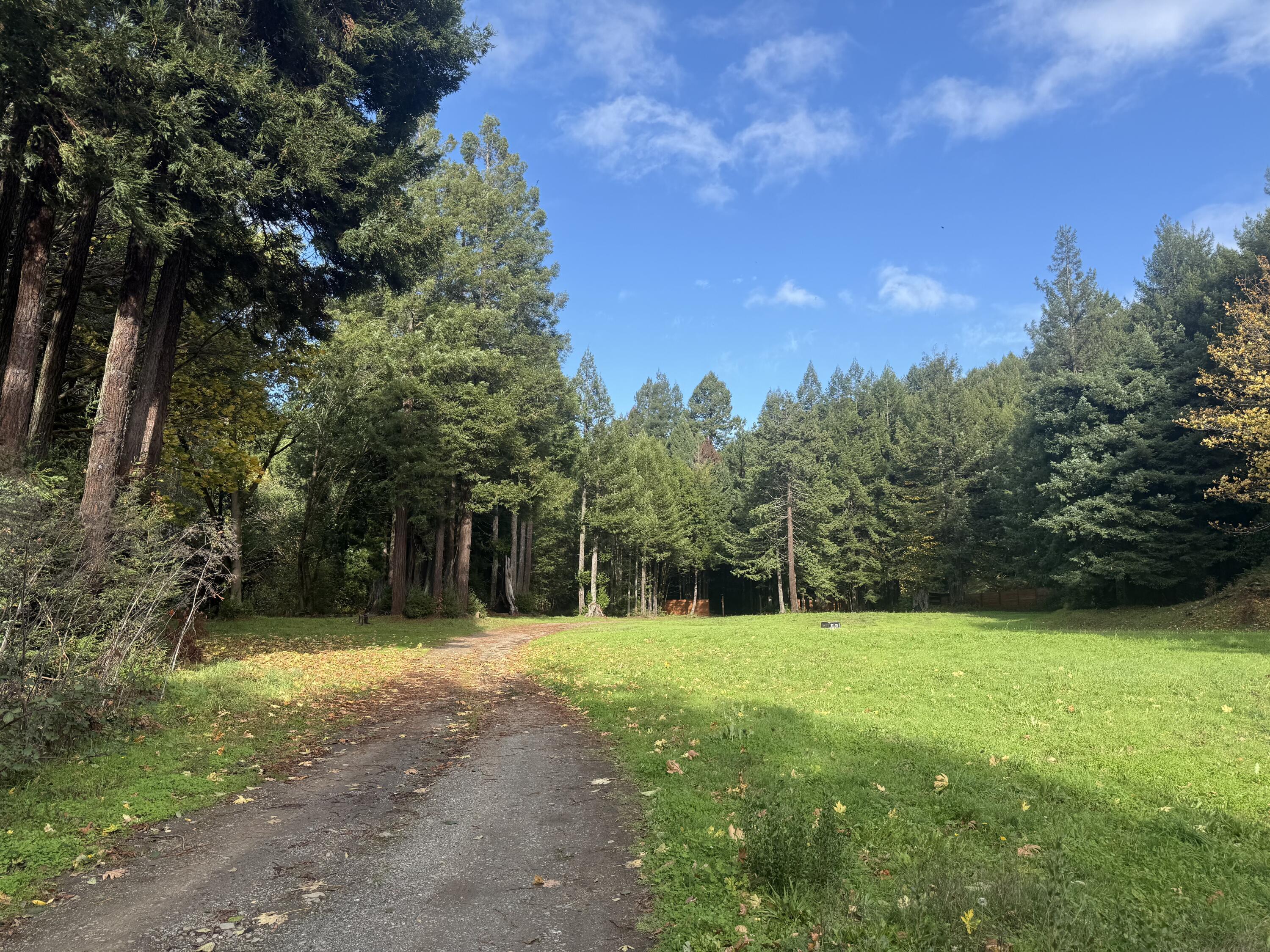 0 Wilder Road Carlotta, CA 95528 - Photo 8 of 12
