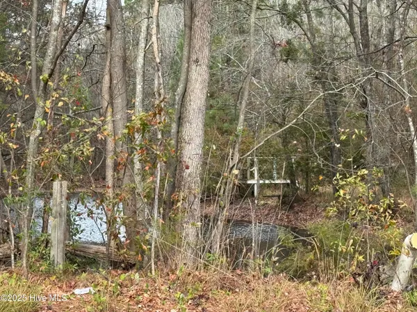 $24,000 | 0 Boyd Lake Road, Hamlet, NC 28345