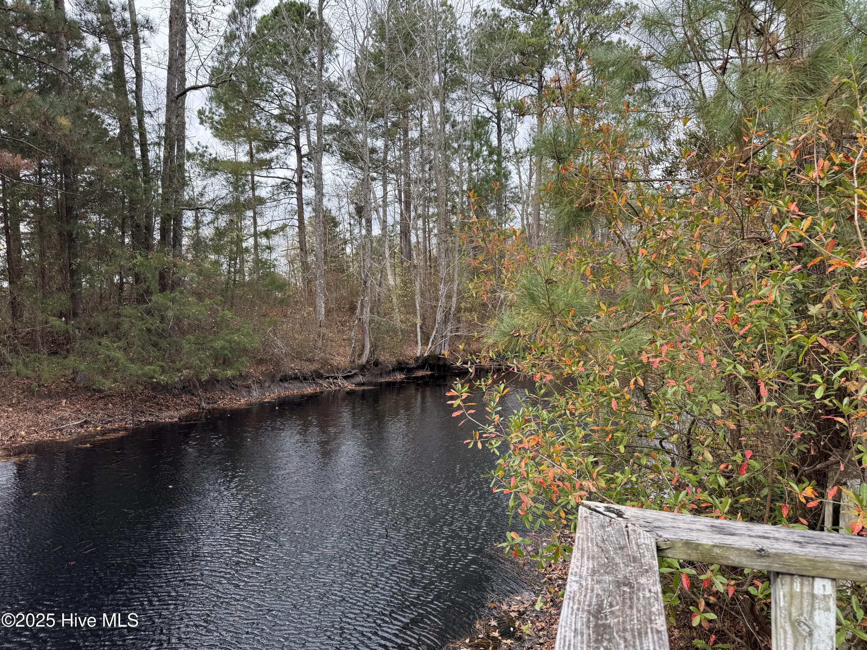 0 Boyd Lake Road Hamlet, NC 28345 - Photo 2 of 9 IMG_3922 (1)