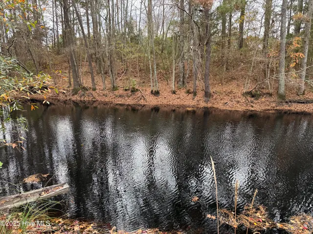 $32,500 | 0 Boyd Lake Road, Hamlet, NC 28345