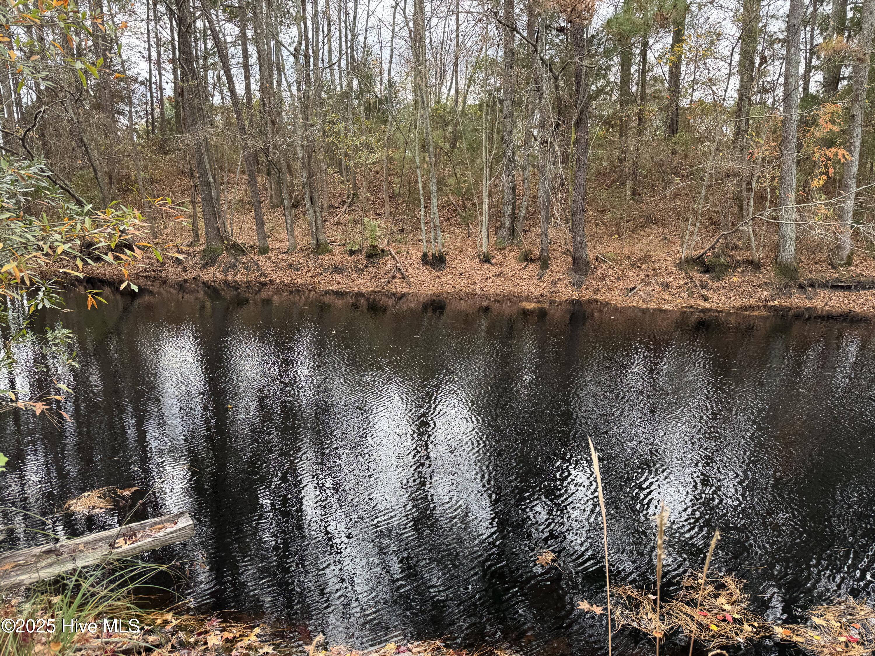 0 Boyd Lake Road Hamlet, NC 28345 - Photo 3 of 9 IMG_3919