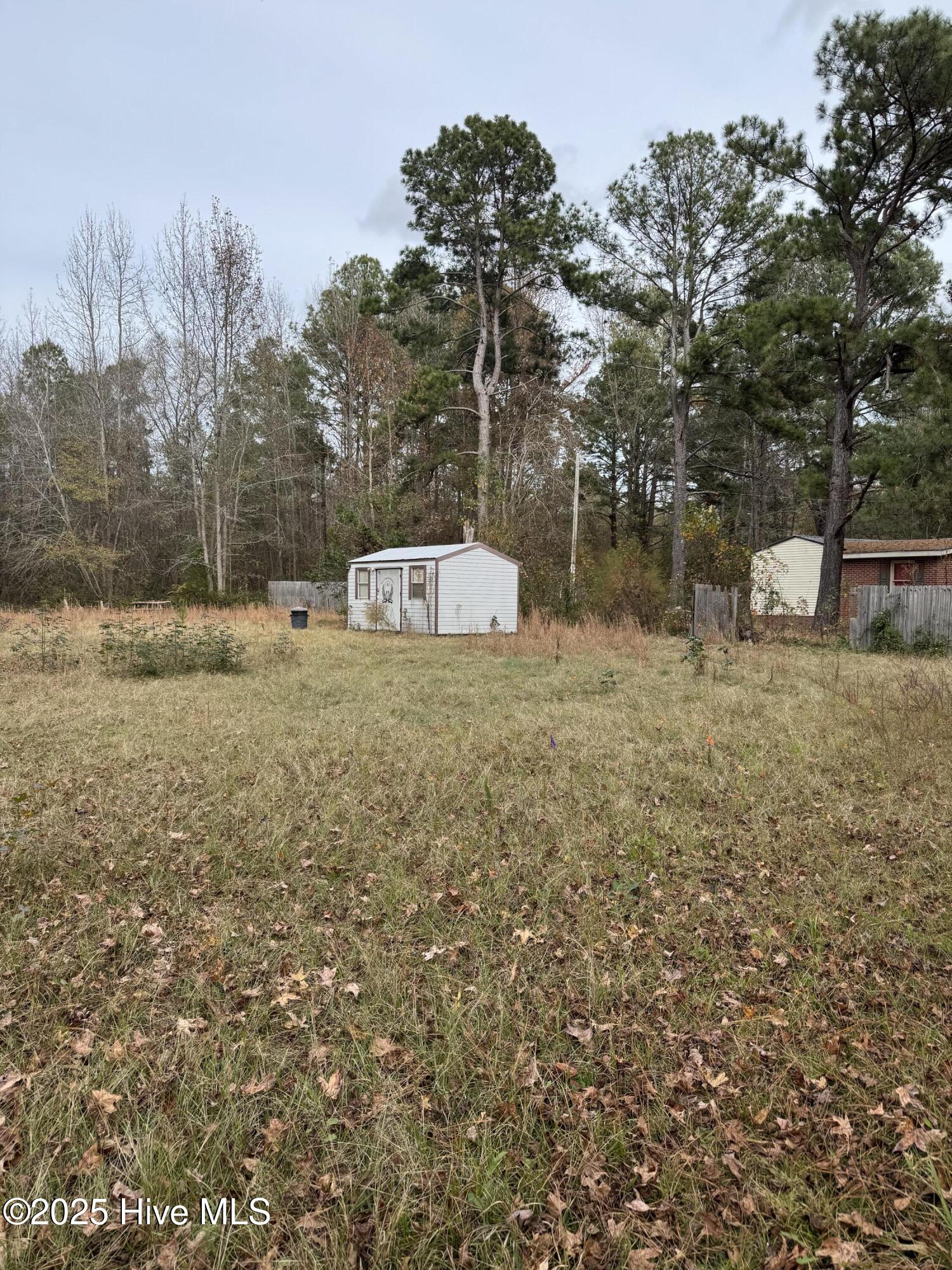 0 Boyd Lake Road Hamlet, NC 28345 - Photo 4 of 9 IMG_3916