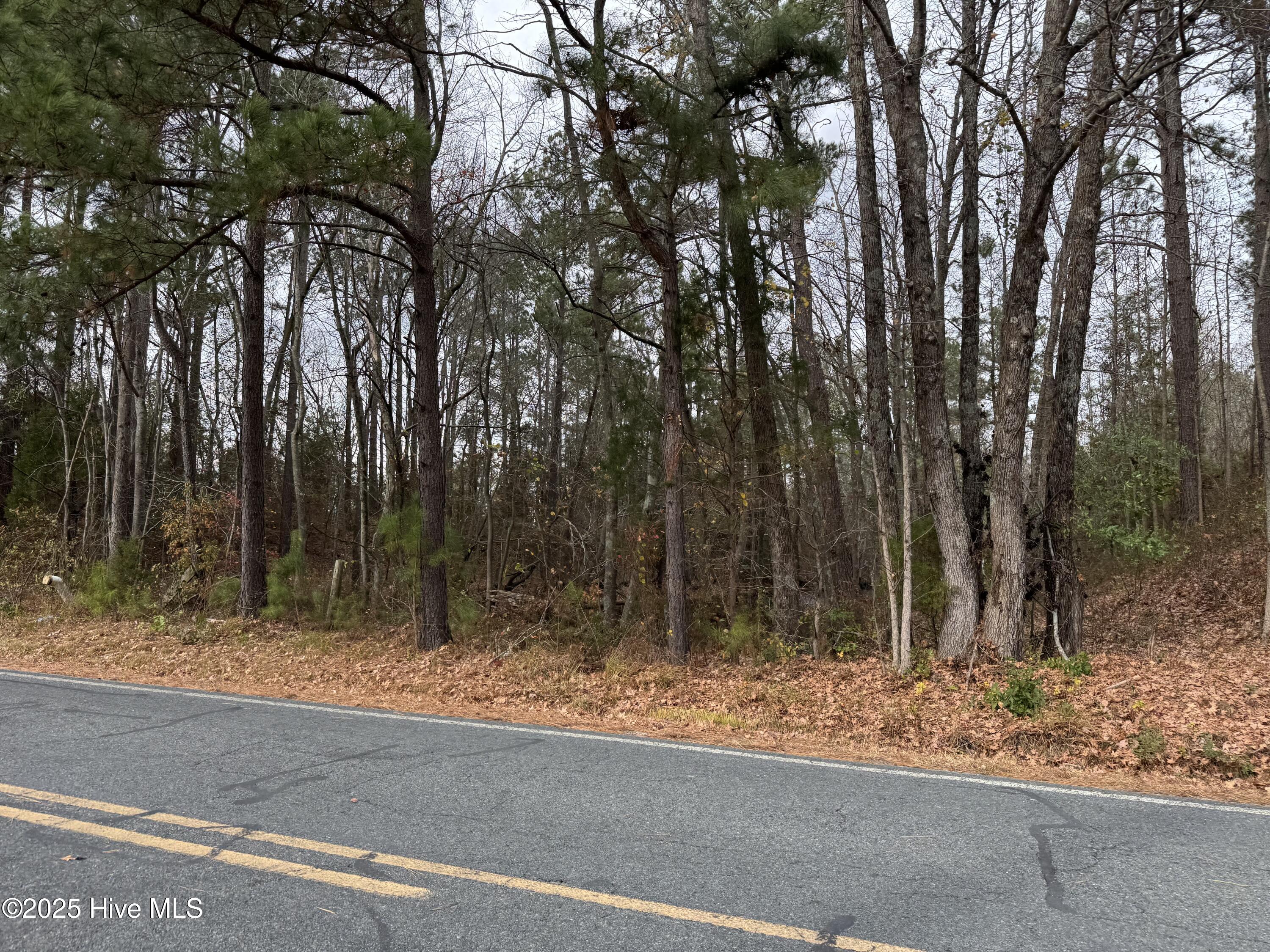 0 Boyd Lake Road Hamlet, NC 28345 - Photo 5 of 9 IMG_3930