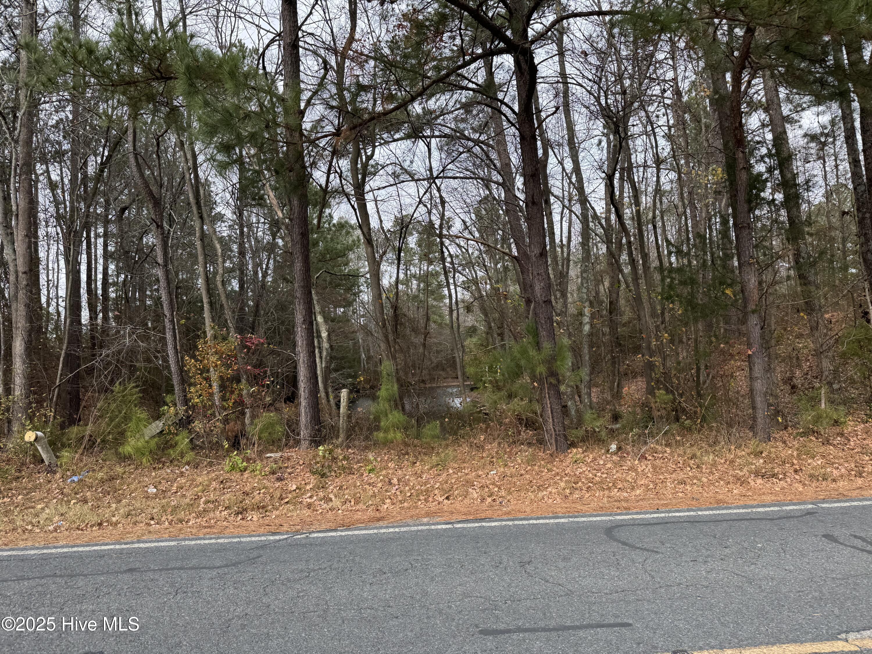 0 Boyd Lake Road Hamlet, NC 28345 - Photo 6 of 9 IMG_3931