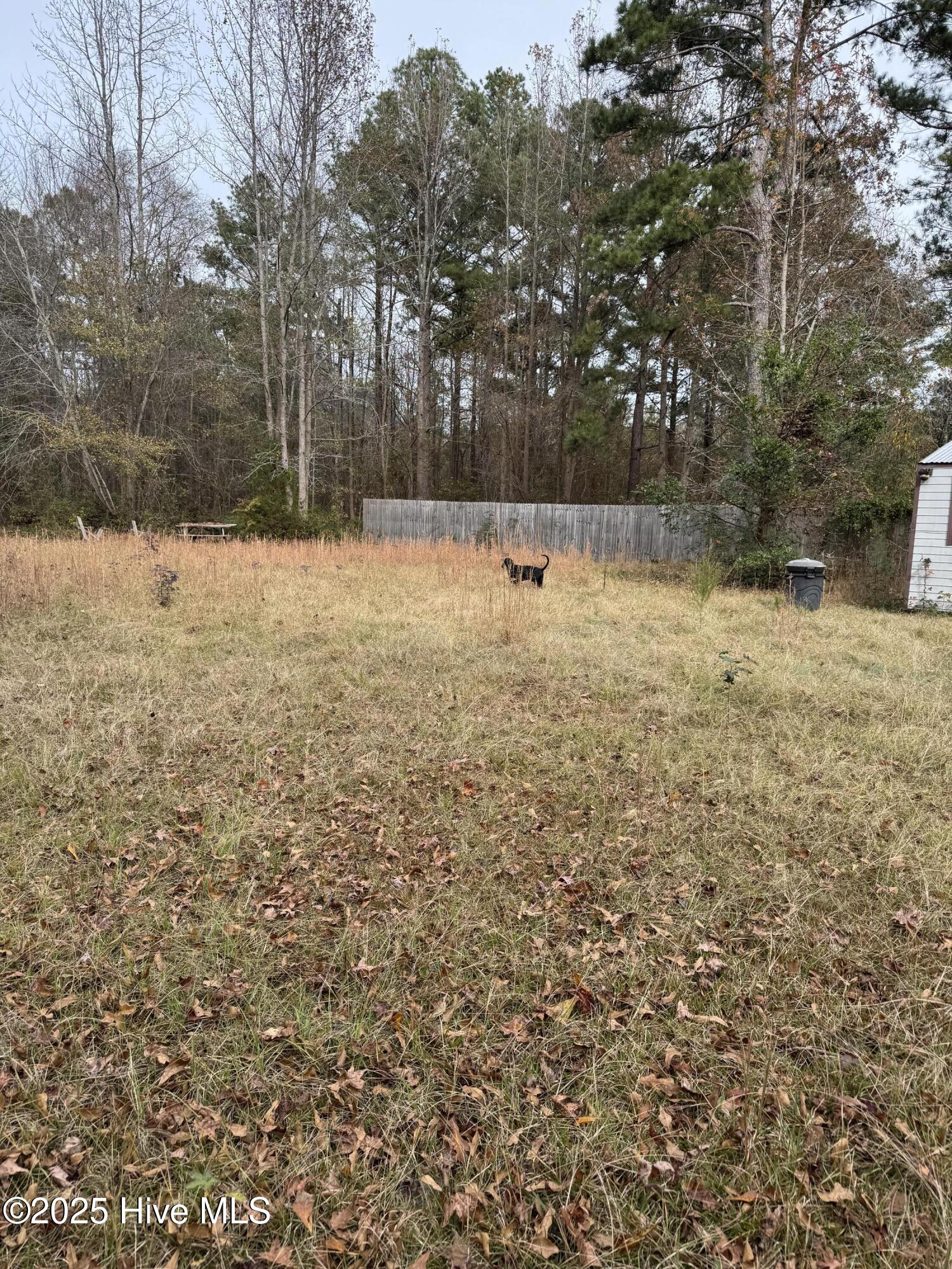 0 Boyd Lake Road Hamlet, NC 28345 - Photo 8 of 9 IMG_3918