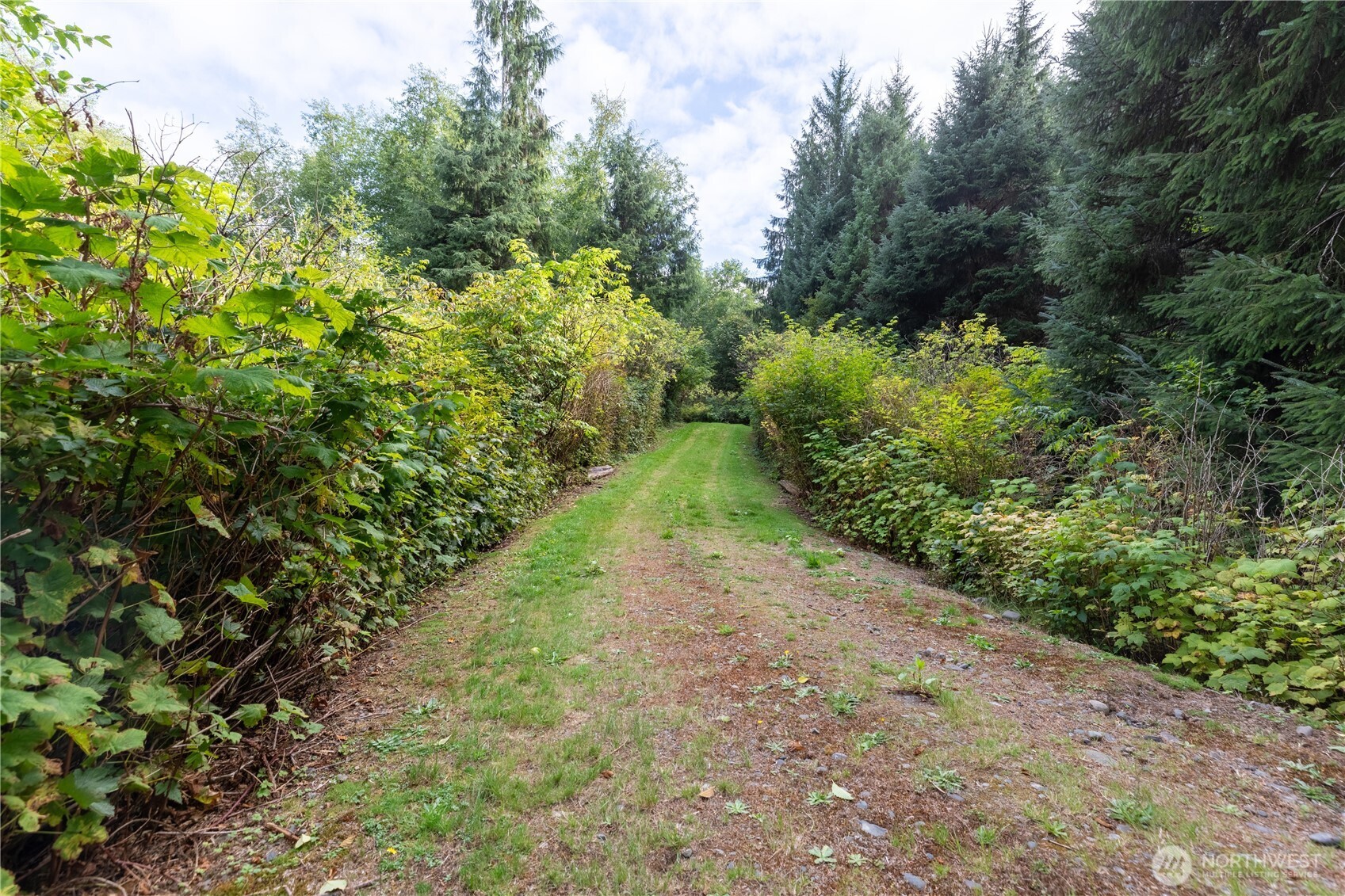 688 Kilmer Road Forks, WA 98331 - Photo 5 of 38 Gallery Image 5
