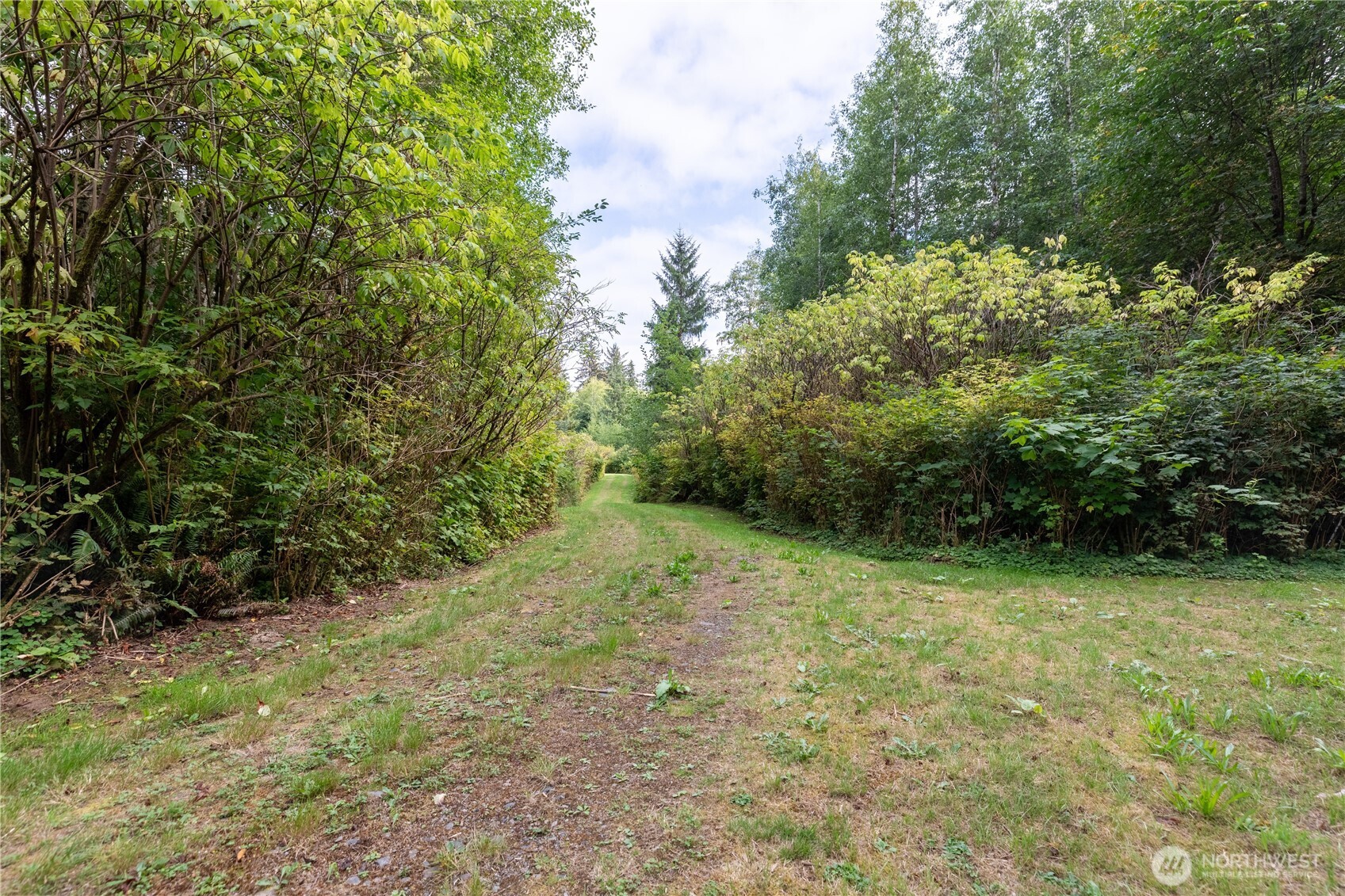 688 Kilmer Road Forks, WA 98331 - Photo 6 of 38 Gallery Image 6