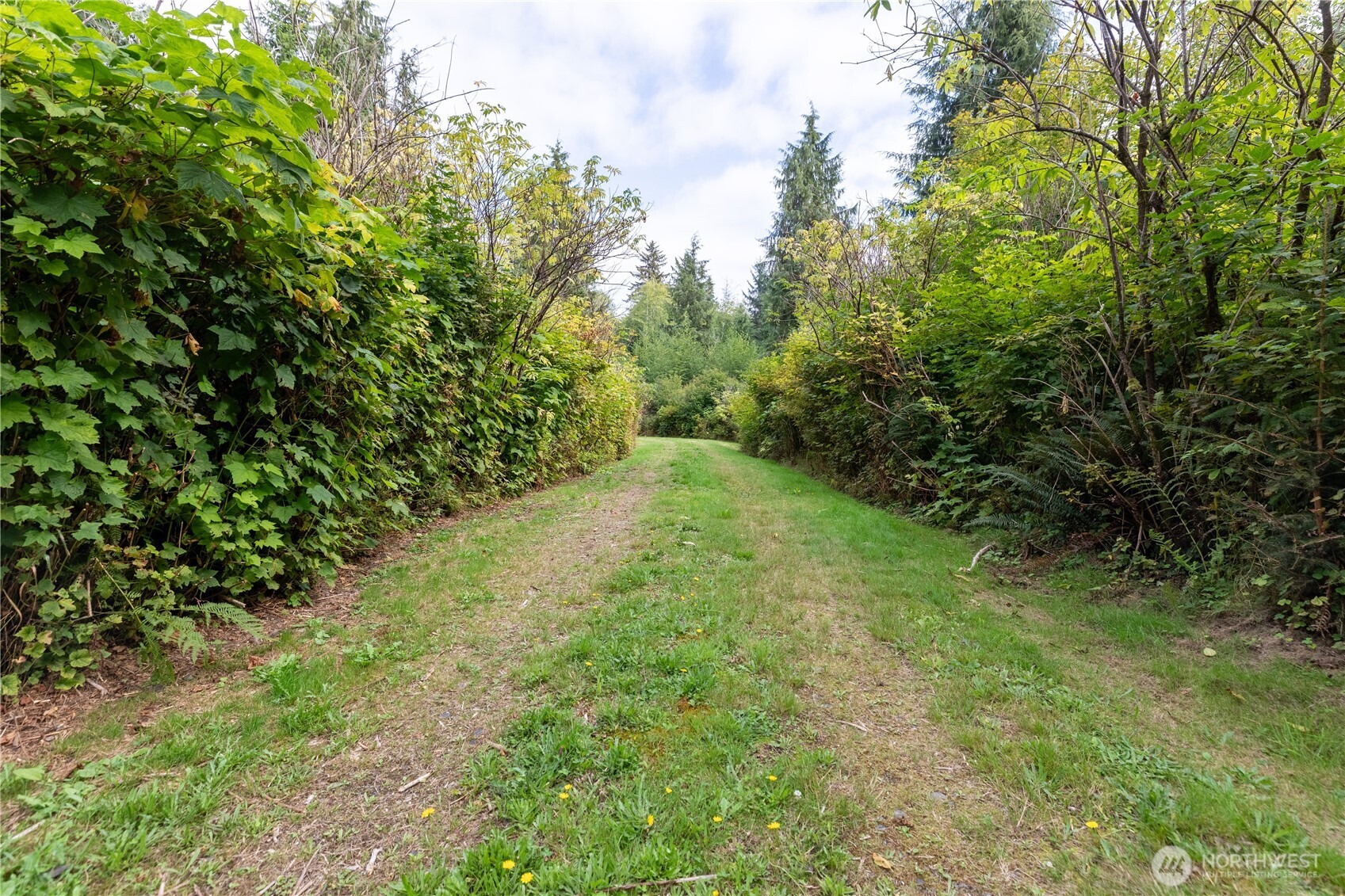 688 Kilmer Road Forks, WA 98331 - Photo 7 of 38 Gallery Image 7