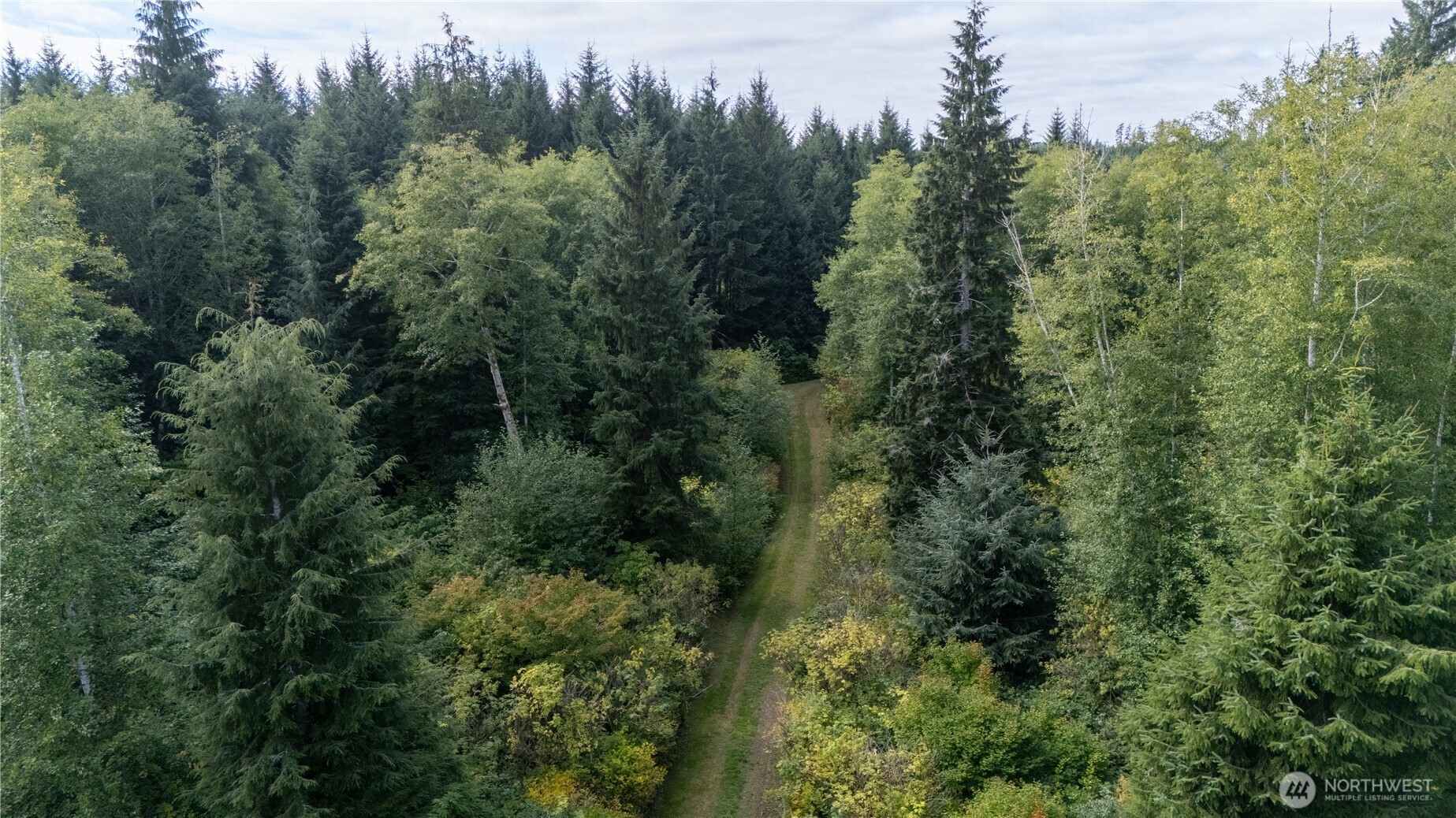 688 Kilmer Road Forks, WA 98331 - Photo 9 of 38 Gallery Image 9