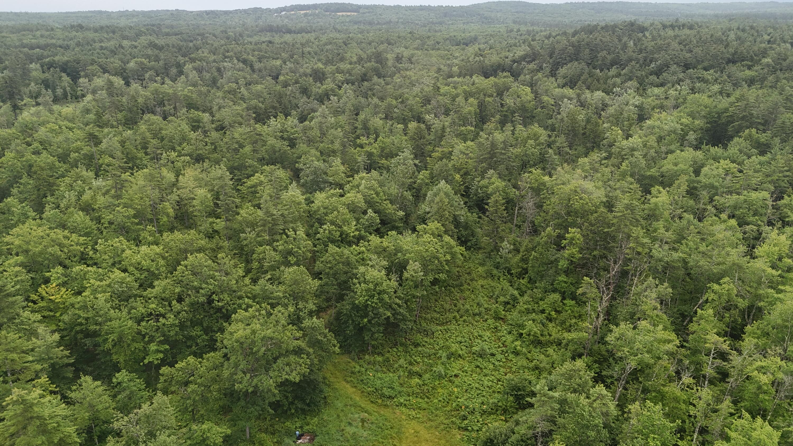 48 Middle Road Standish, ME 04084 - Photo 3 of 4 DJI_20260717033120_0206_D