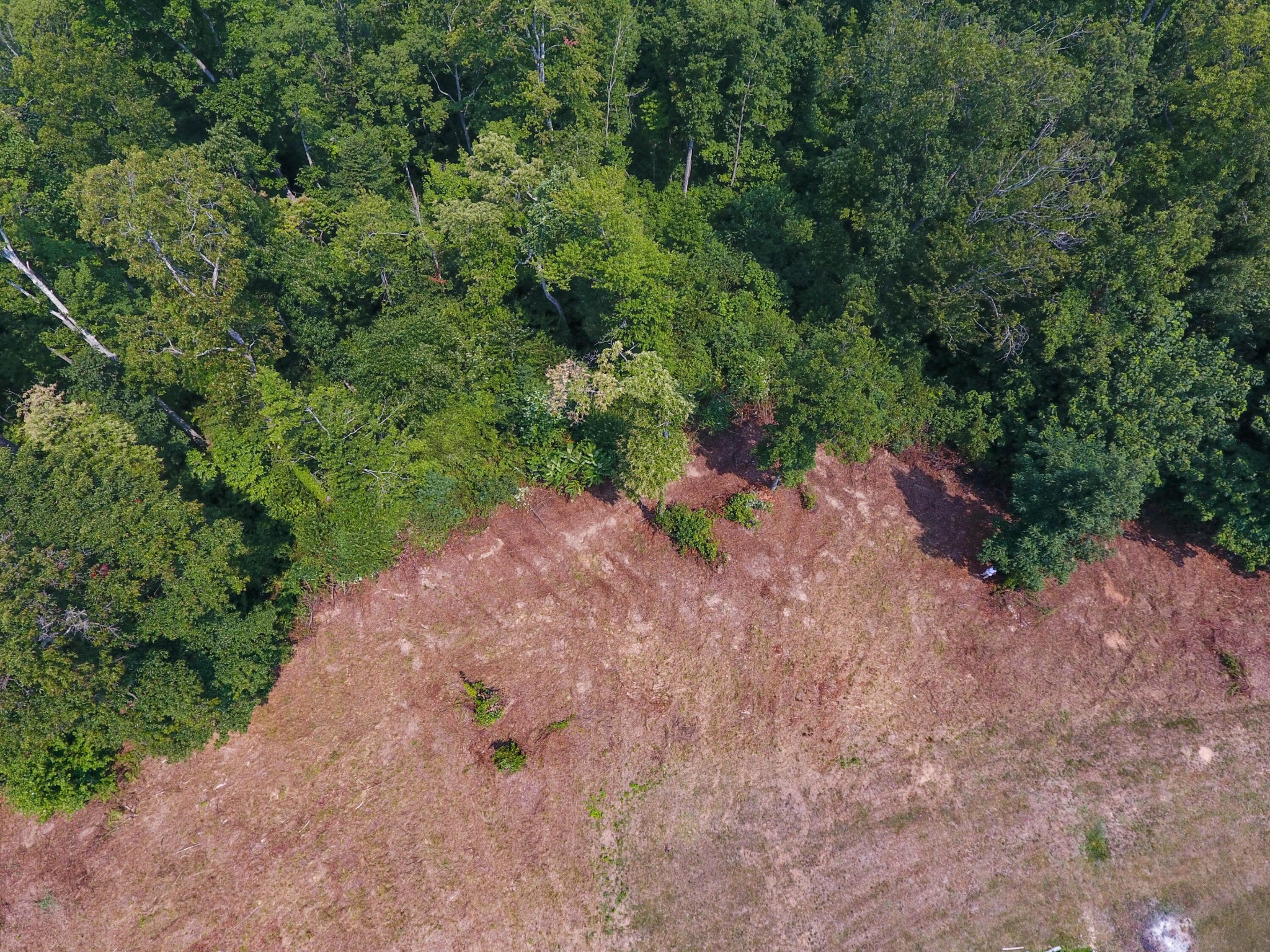 1417 Booker Road Maynardville, TN 37807 - Photo 6 of 9 Gallery Image 6
