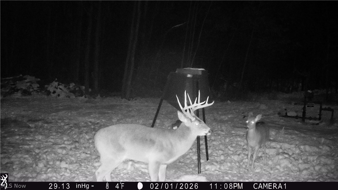 5309 Cherry Run Road Northwest Strasburg, OH 44680 - Photo 48 of 49