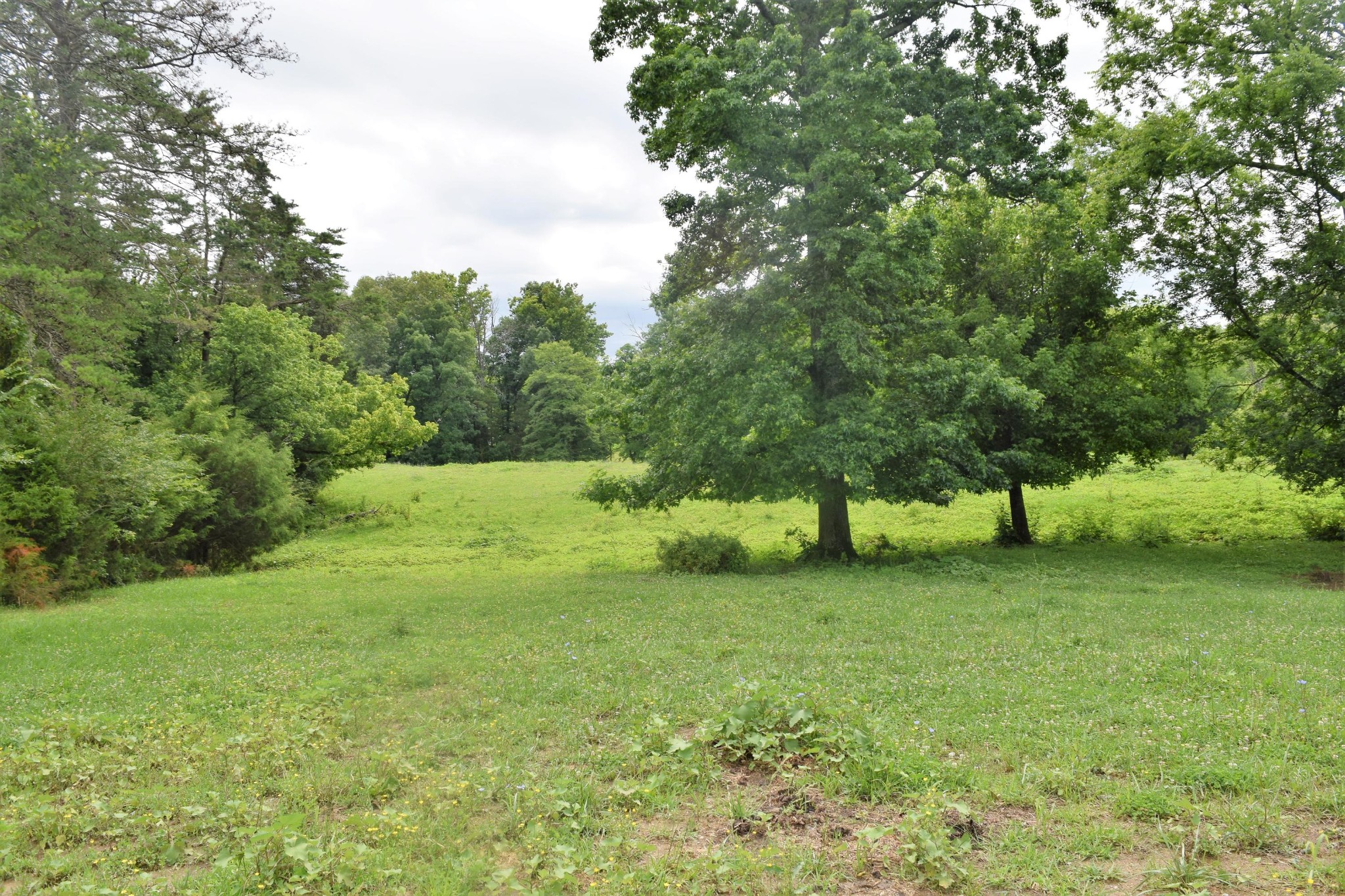 9626 Smoky Row Road Strawberry Plains, TN 37871 - Photo 11 of 19 Gallery Image 11