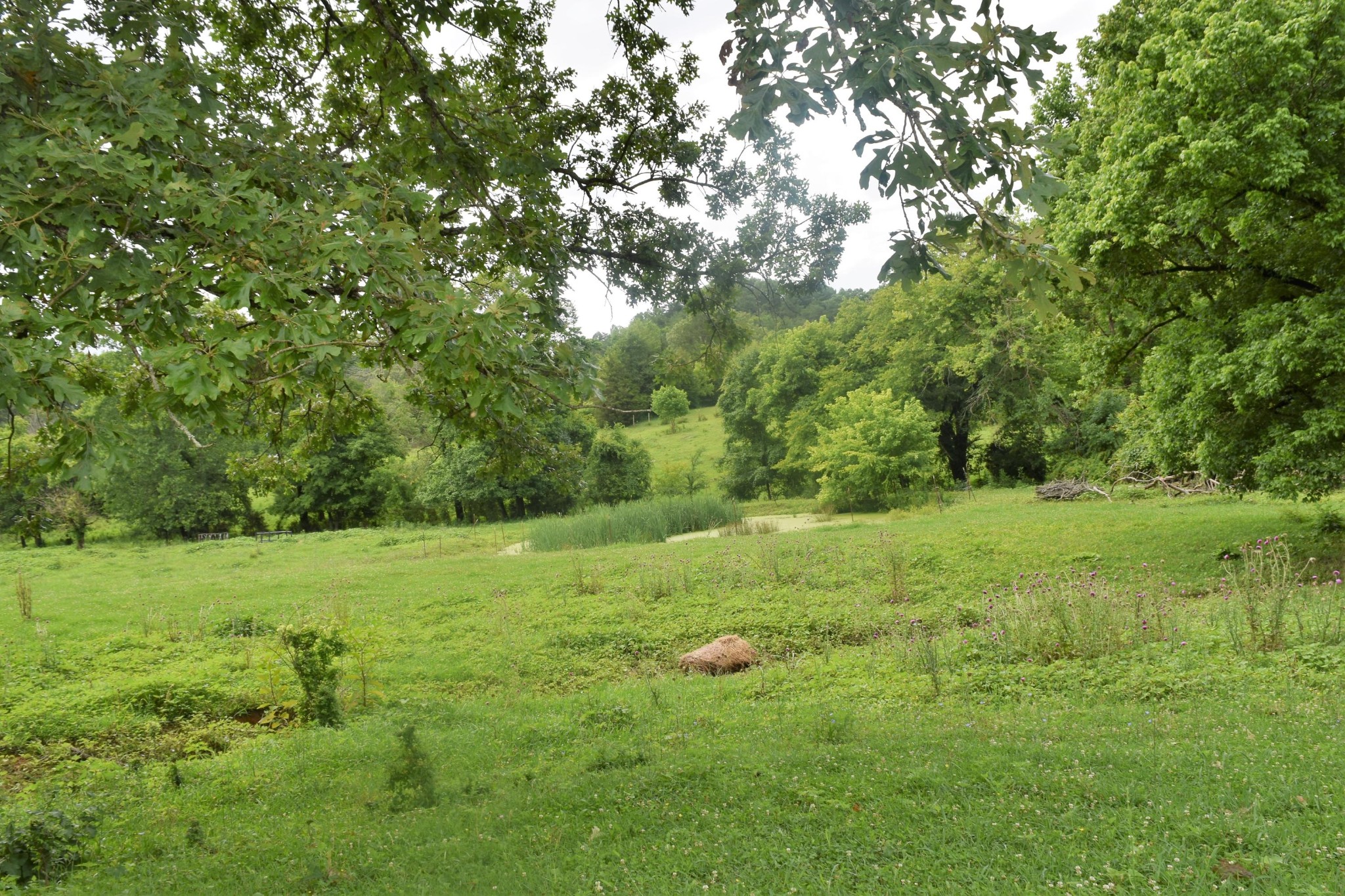 9626 Smoky Row Road Strawberry Plains, TN 37871 - Photo 12 of 19 Gallery Image 12