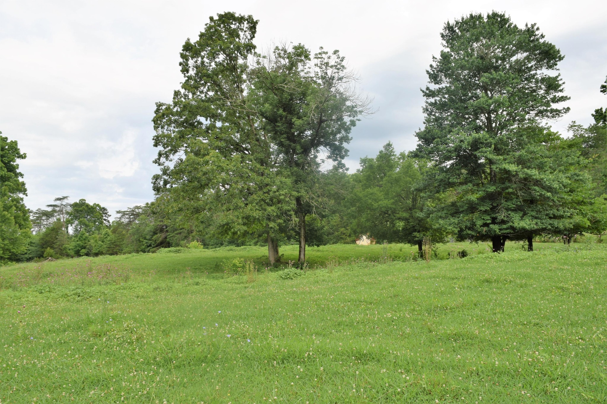9626 Smoky Row Road Strawberry Plains, TN 37871 - Photo 15 of 19 Gallery Image 15