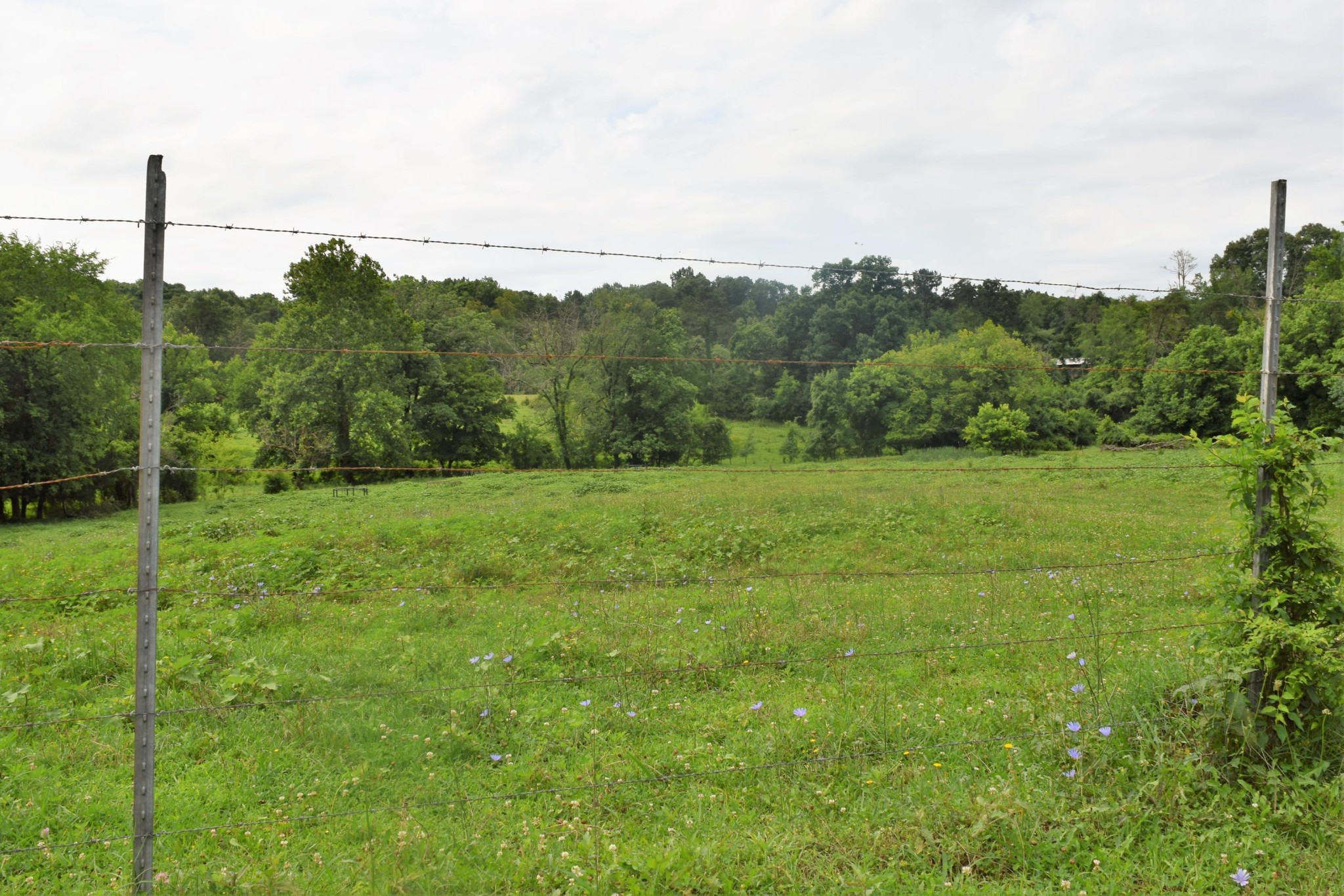 9626 Smoky Row Road Strawberry Plains, TN 37871 - Photo 17 of 19 Gallery Image 17