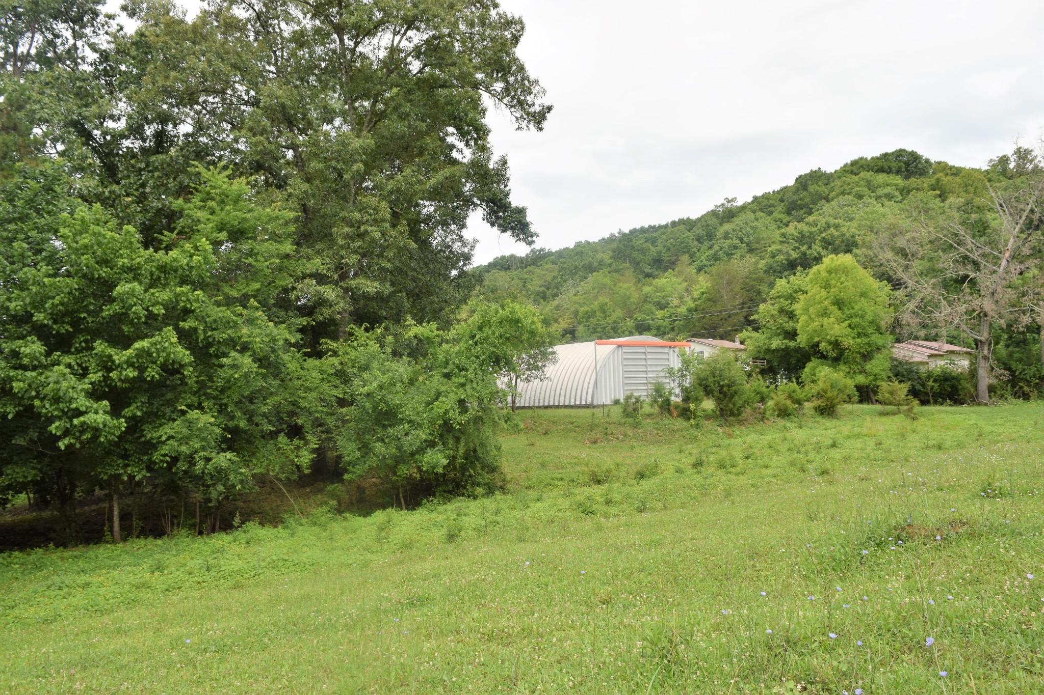 9626 Smoky Row Road Strawberry Plains, TN 37871 - Photo 18 of 19 Gallery Image 18