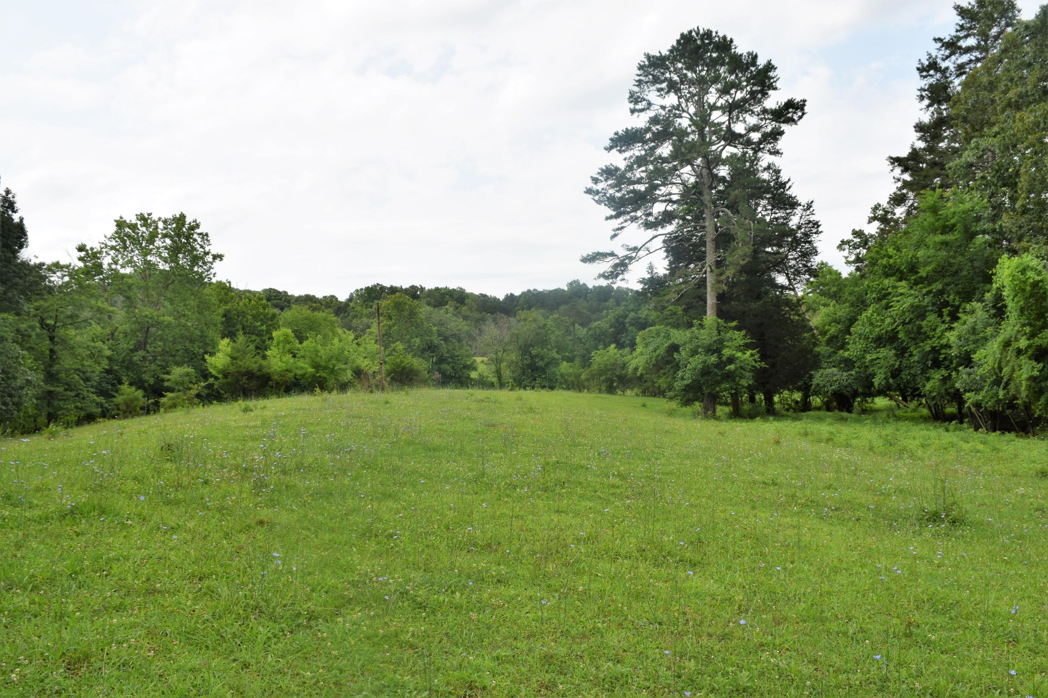 9626 Smoky Row Road Strawberry Plains, TN 37871 - Photo 19 of 19 Gallery Image 19