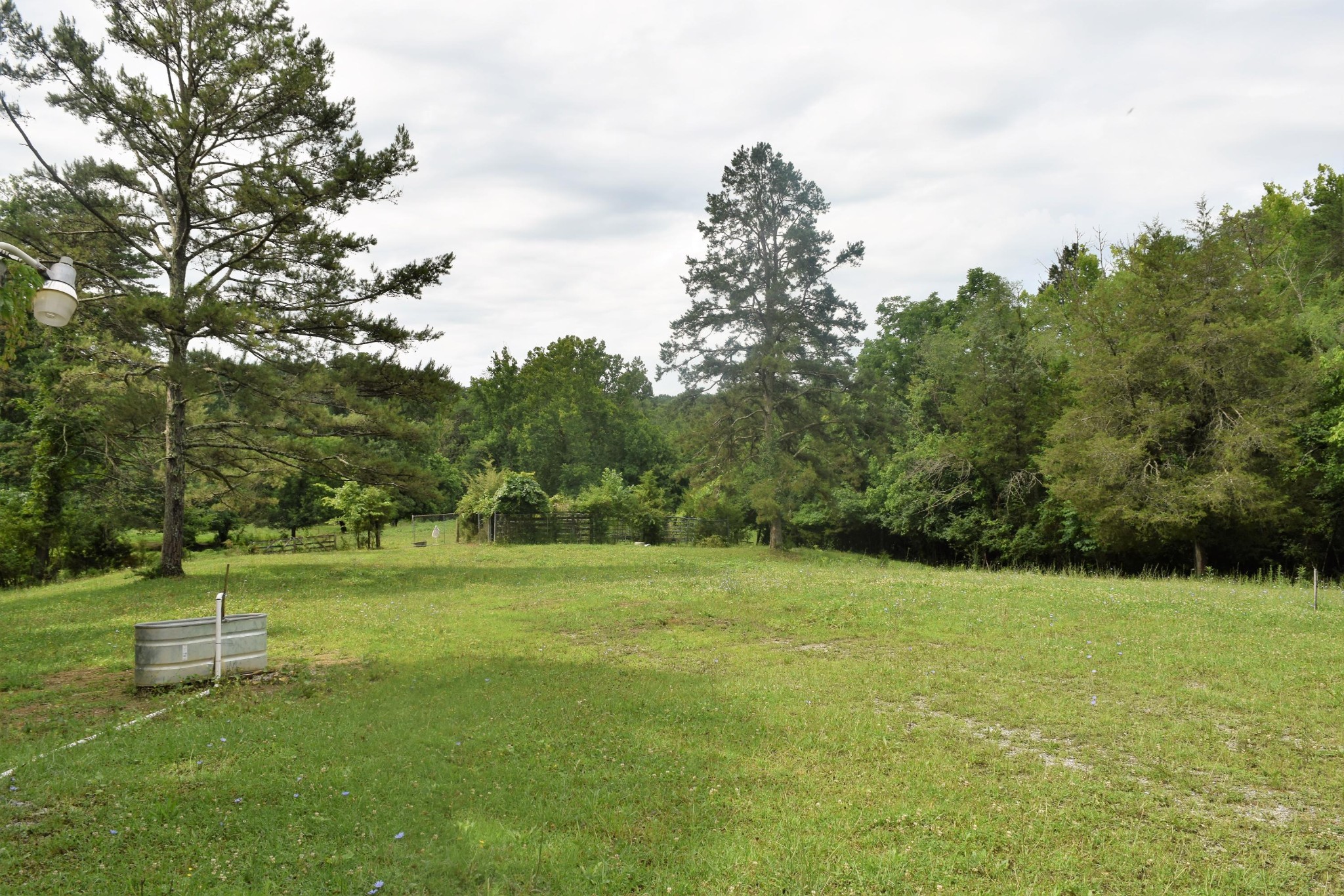 9626 Smoky Row Road Strawberry Plains, TN 37871 - Photo 5 of 19 Gallery Image 5