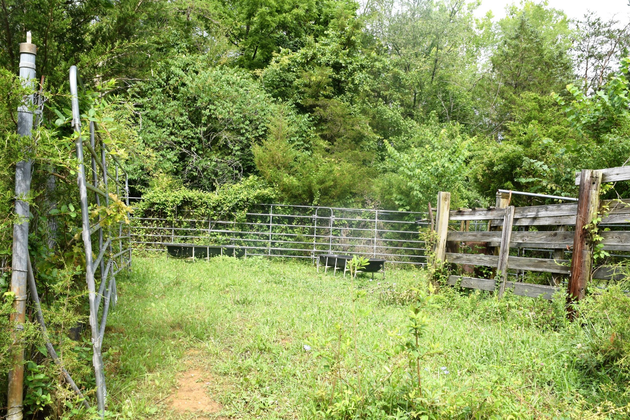 9626 Smoky Row Road Strawberry Plains, TN 37871 - Photo 10 of 19 Gallery Image 10