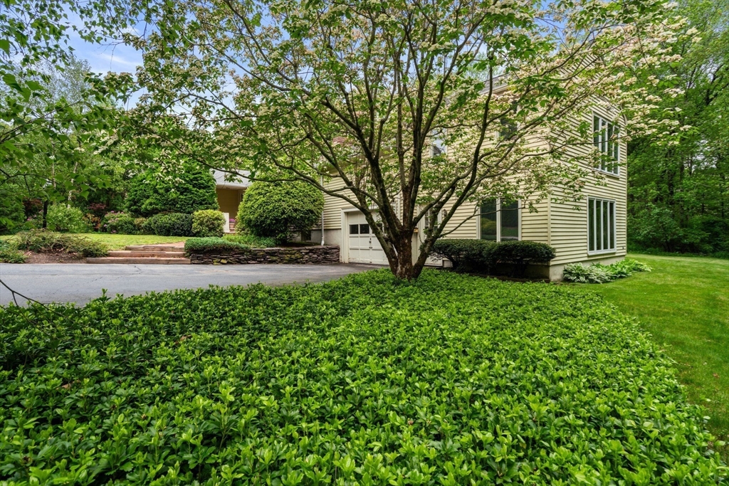 31 Millbrook Road Westwood, MA 02090 - Photo 32 of 39 Gallery Image 32