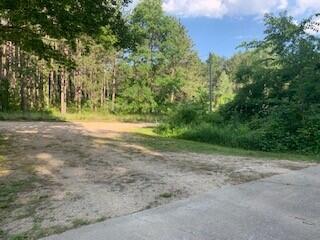 6750 West McBrides Road Lakeview, MI 48850 - Photo 13 of 48 Driveway